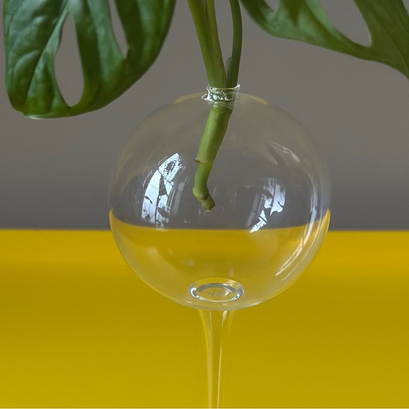 Firelight Glass Hurricane Oil Candle Stick Glass Bud Vase Plant Propagation 8” - Picture 4 of 9